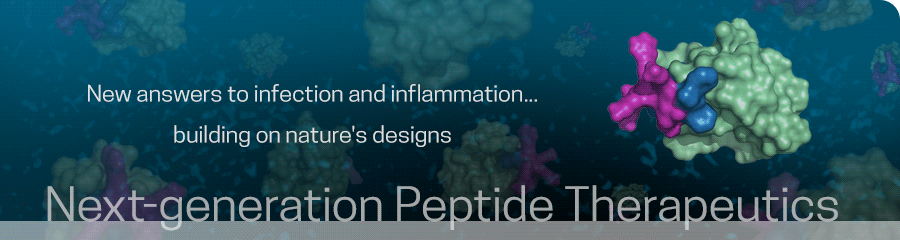 Next-generation peptide therapeutics
